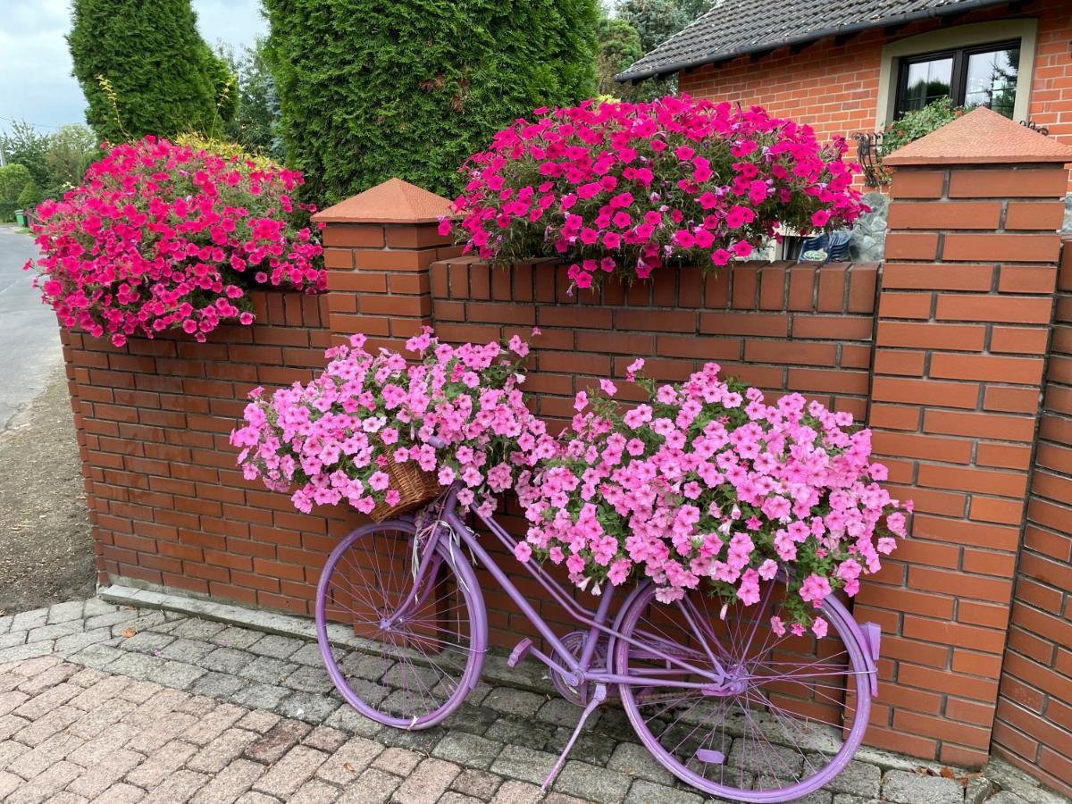 Hortus Apartament Z Klimatyzacja Boleslawiec  Exteriör bild