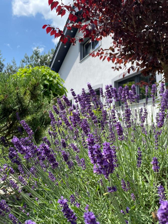 Hortus Apartament Z Klimatyzacja Boleslawiec  Exteriör bild
