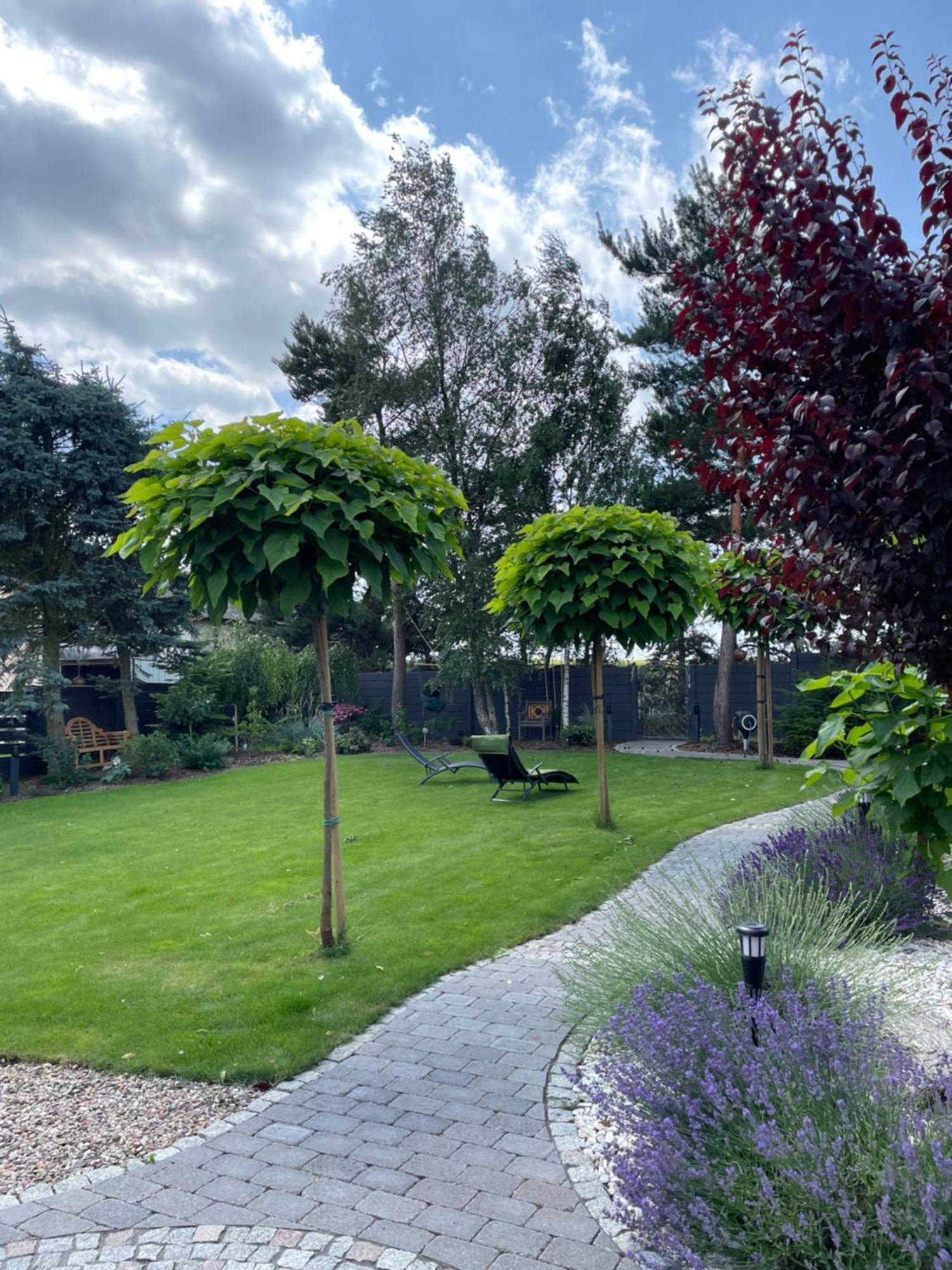 Hortus Apartament Z Klimatyzacja Boleslawiec  Exteriör bild