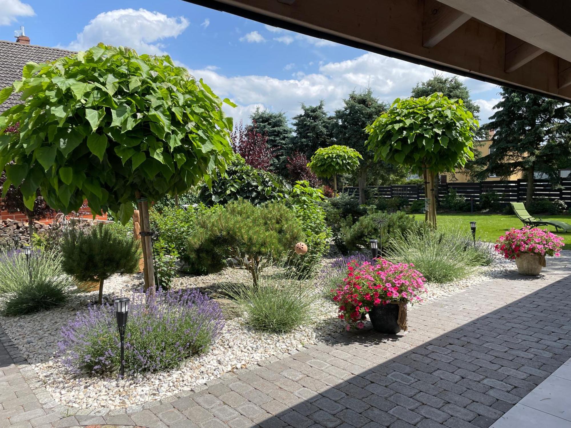 Hortus Apartament Z Klimatyzacja Boleslawiec  Exteriör bild