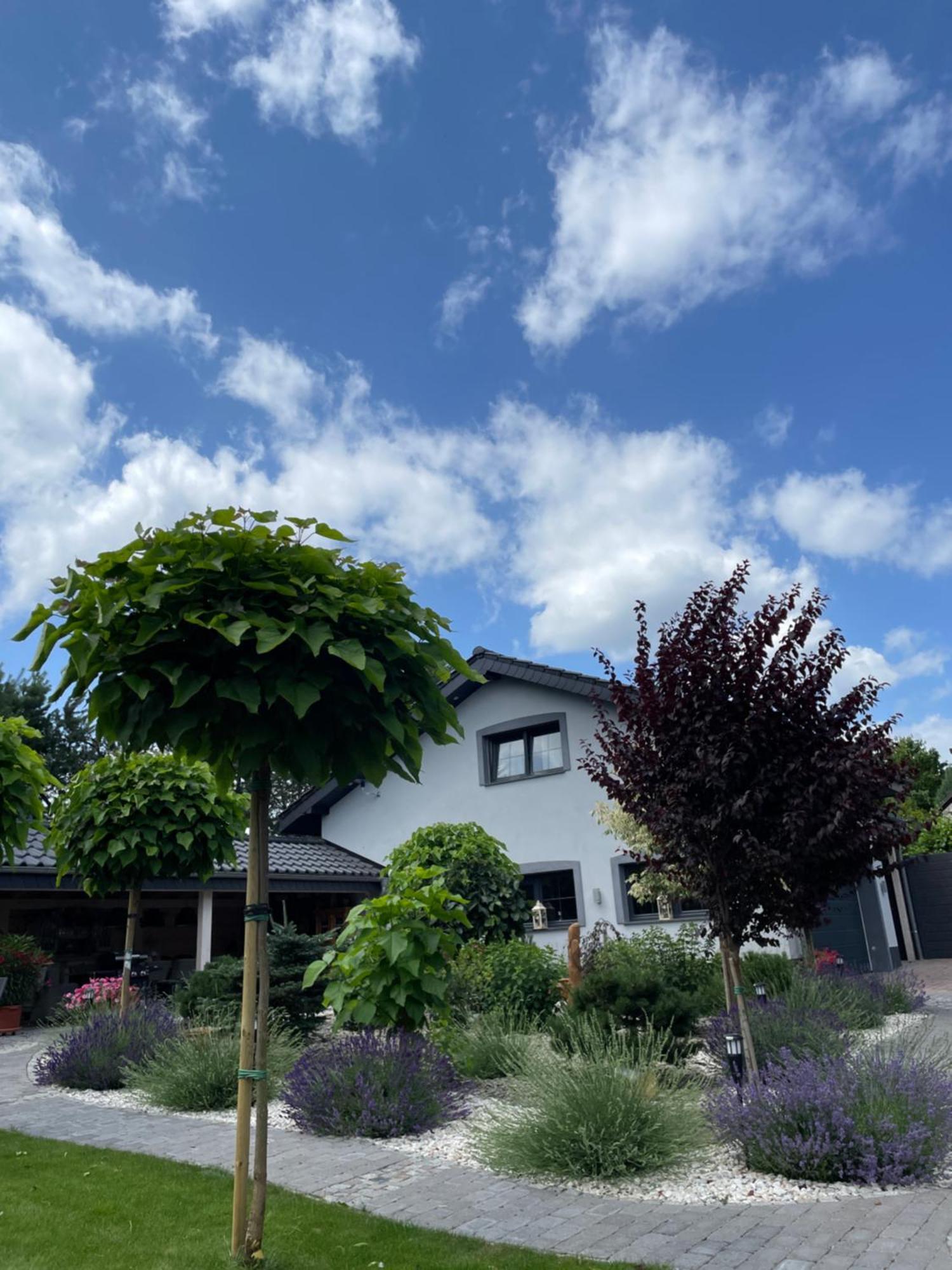 Hortus Apartament Z Klimatyzacja Boleslawiec  Exteriör bild